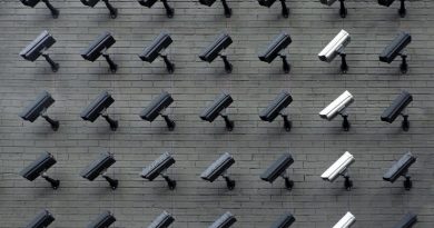 Photo by Lianhao Qu on Unsplash