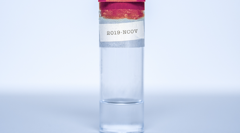 Photo by Vincent Ghilione on Unsplash