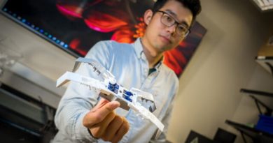 3D-печать роботов-насекомых