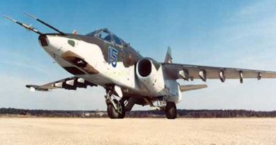 Фото - «Сухой»