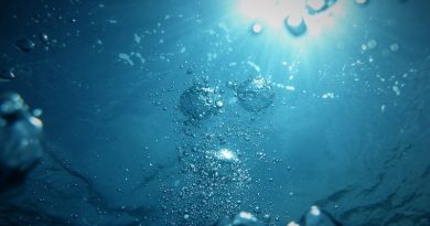 Photo by Jong Marshes on Unsplash