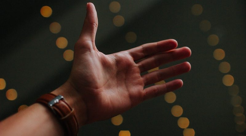 Photo by Jordan Whitfield on Unsplash