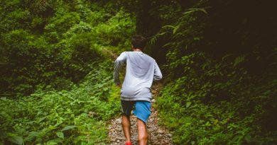 Photo by Shashank Shekhar on Unsplash