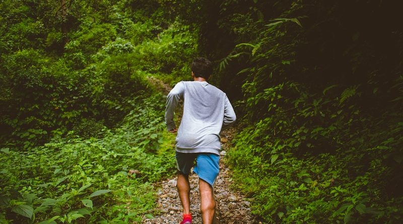 Photo by Shashank Shekhar on Unsplash