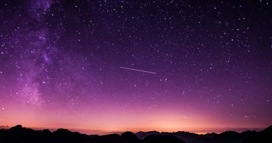 Photo by Vincentiu Solomon on Unsplash