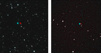 Фото New Horizon