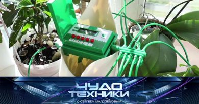 выпуск 21-06-2020