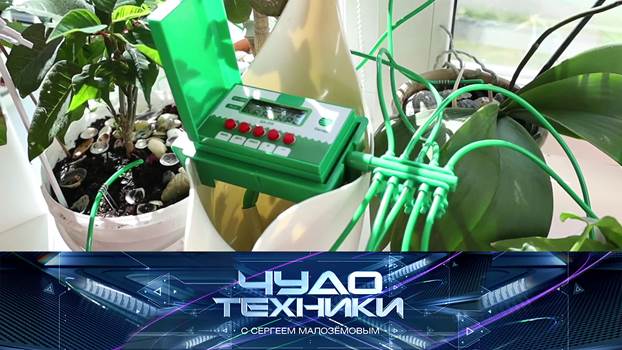 выпуск 21-06-2020