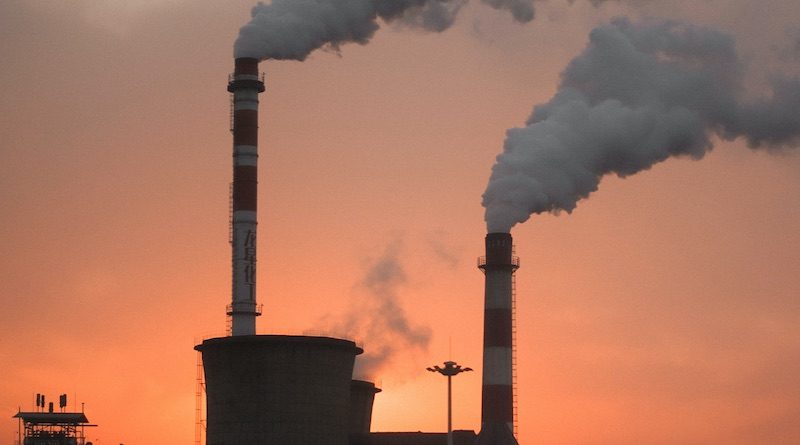 Photo by Alexander Tsang on Unsplash