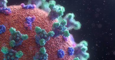 Фото: Fusion Medical Animation on Unsplash