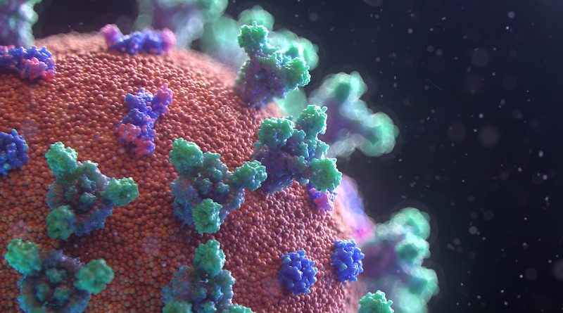 Фото: Fusion Medical Animation on Unsplash