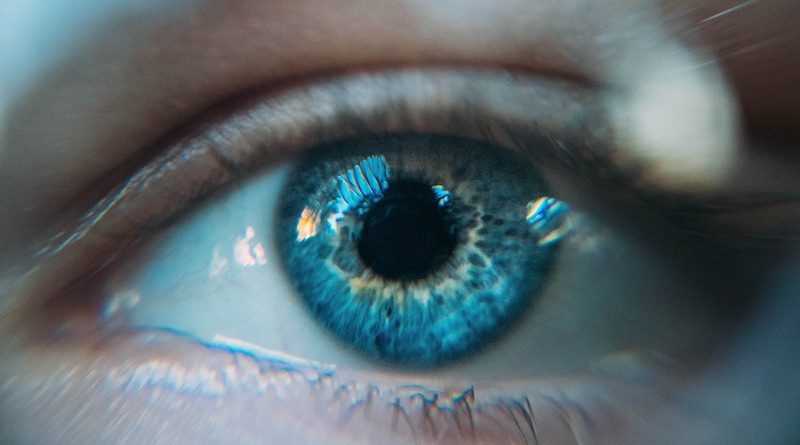 Фото Daniil Kuželev on Unsplash