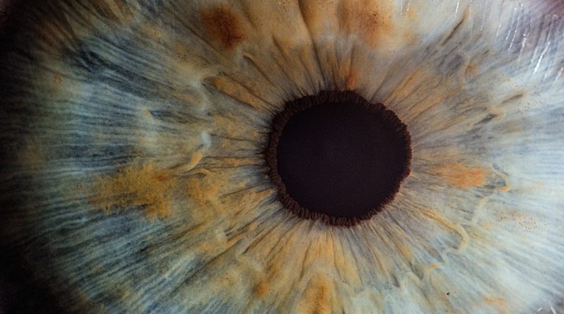 Фото v2osk on Unsplash