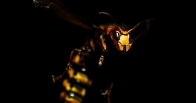 Фото Marc Schulte on Unsplash