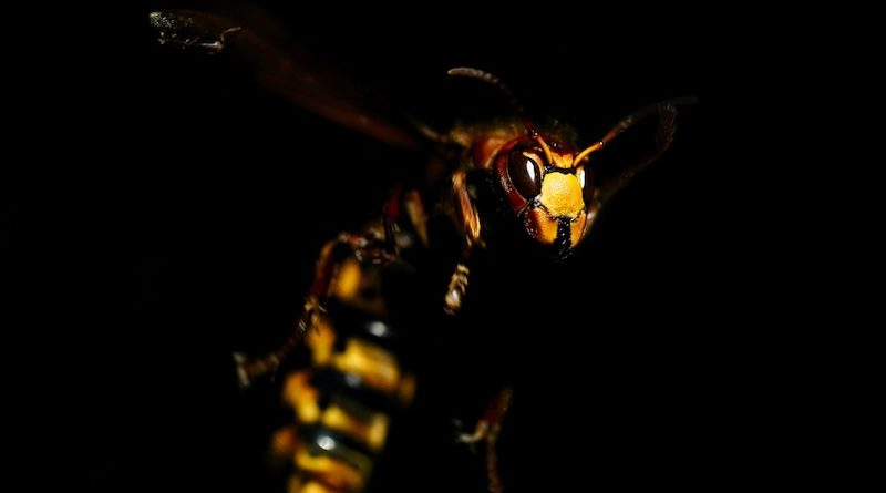 Фото Marc Schulte on Unsplash