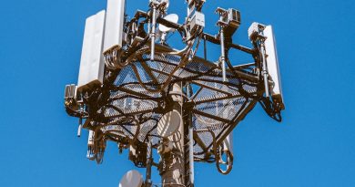 Photo by Maxwell Ingham on Unsplash