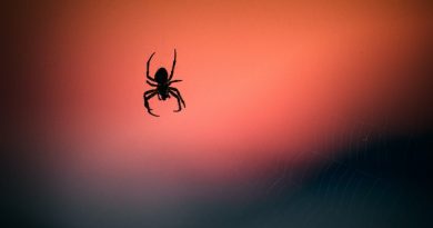 Photo by Vidar Nordli-Mathisen on Unsplash