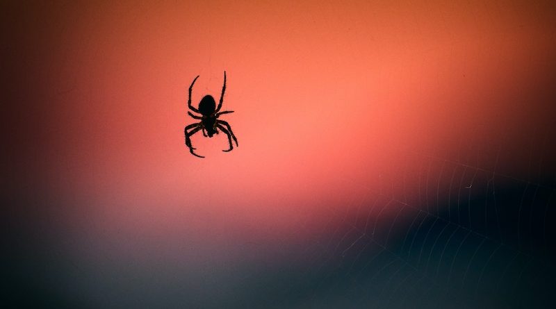 Photo by Vidar Nordli-Mathisen on Unsplash