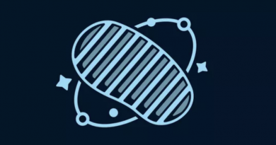 Фото Фарадей