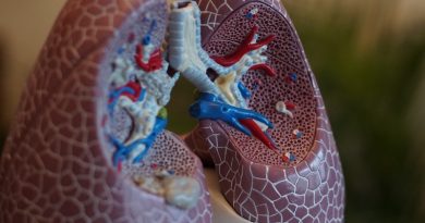 Фото Robina Weermeijer on Unsplash