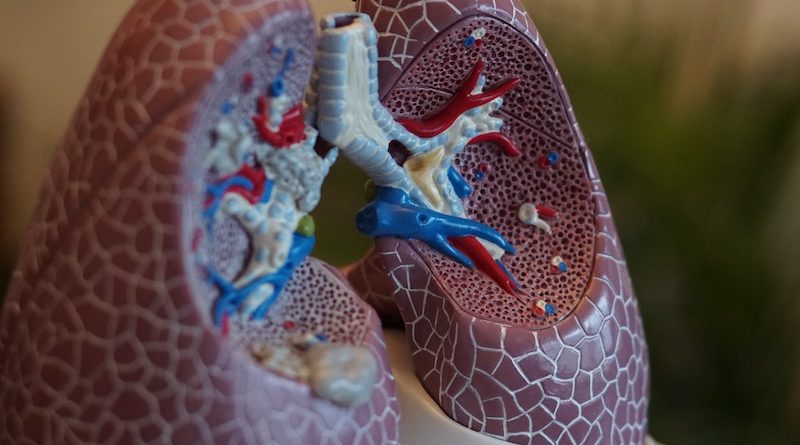 Фото Robina Weermeijer on Unsplash