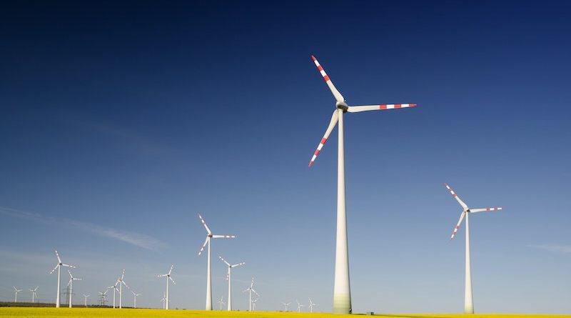 Фото Zbynek Burival on Unsplash