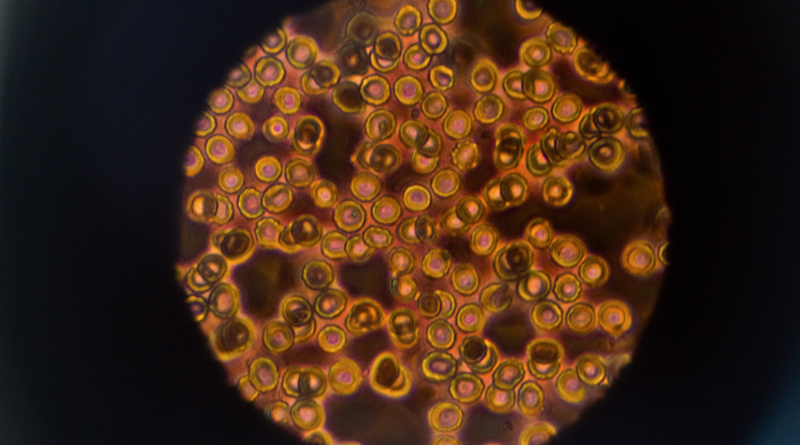 Фото ThisisEngineering RAEng on Unsplash