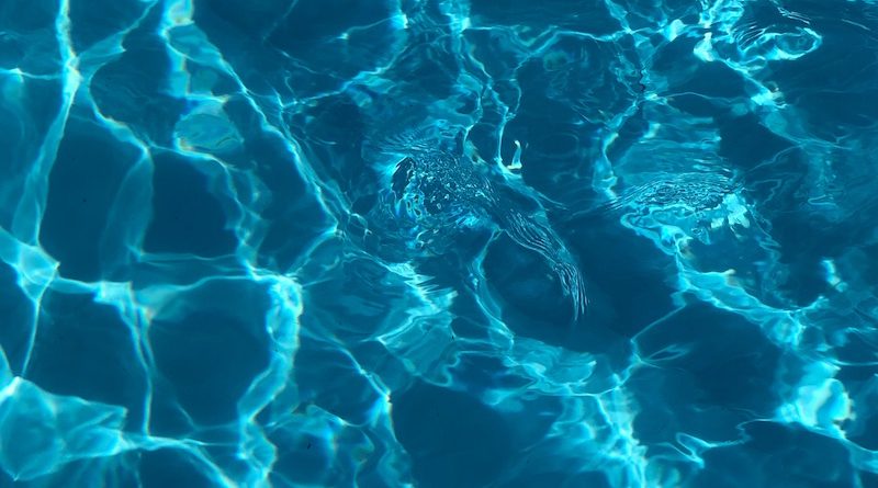 Фото Artem Militonían on Unsplash