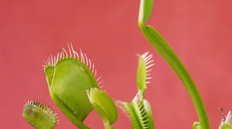 Фото Carla Anne on Unsplash