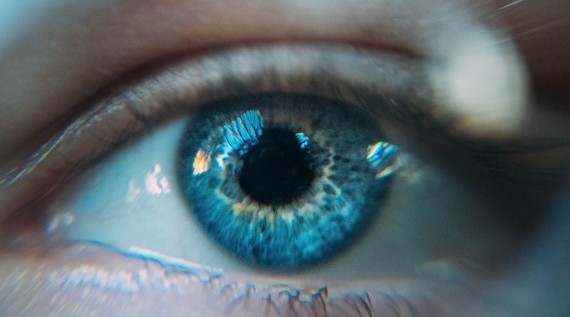 Фото Daniil Kuželev on Unsplash