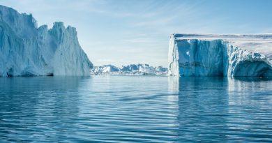 Фото Tina Rolf on Unsplash