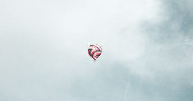 Фото Alessandro Campi on Unsplash