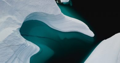 Фото Annie Spratt on Unsplash