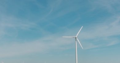 Фото Matthew T Rader on Unsplash