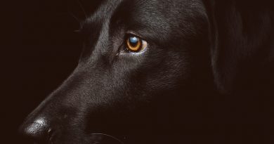 Фото freddie marriage on Unsplash