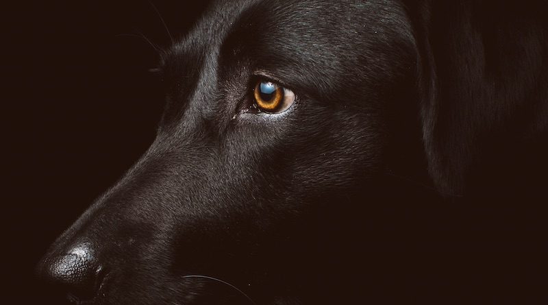 Фото freddie marriage on Unsplash