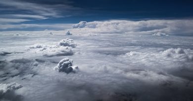 Фото Dylan Calluy on Unsplash