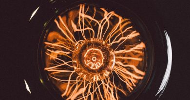 Фото Wesley Tingey on Unsplash