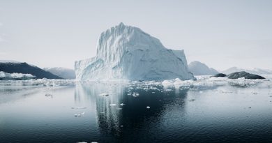 Фото Annie Spratt