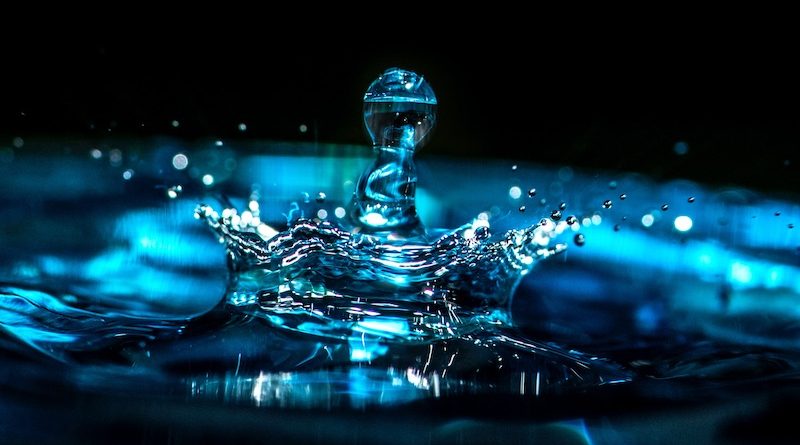 Фото Erda Estremera on Unsplash