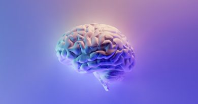 Фото Milad B. Fakurian on Unsplash