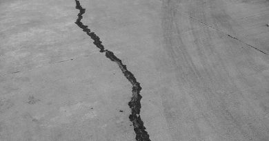 Фото Shefali Lincoln on Unsplash