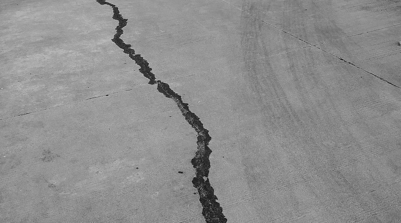 Фото Shefali Lincoln on Unsplash