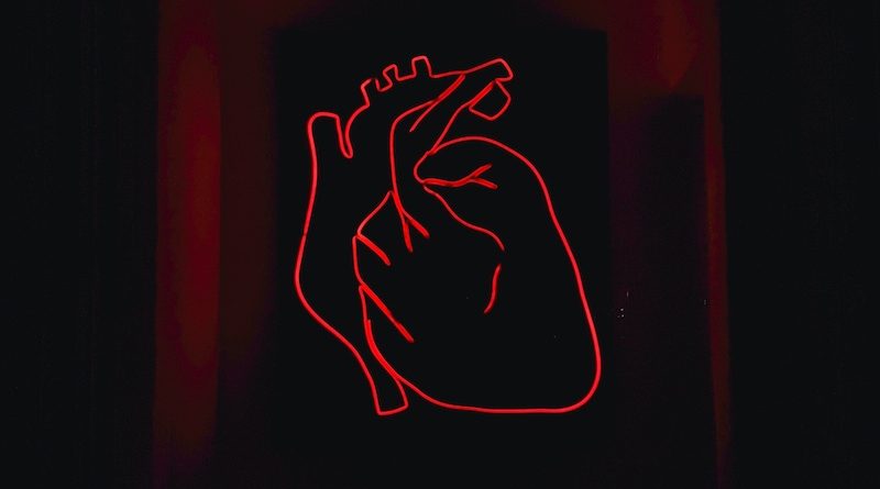 Фото Alexandru Acea on Unsplash