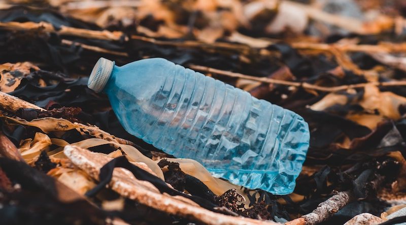 Фото Erik Mclean on Unsplash