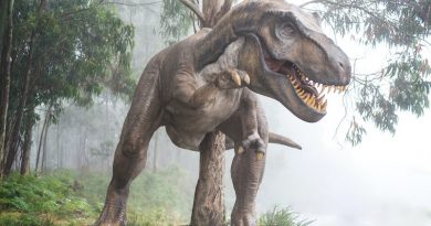 Фото Fausto García-Menéndez on Unsplash