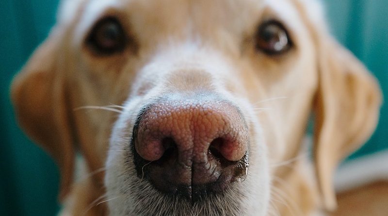 Фото Lucas Ludwig on Unsplash