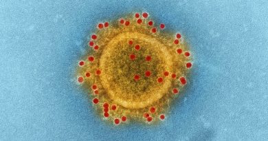 Фото CDC on Unsplash