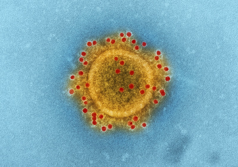 Фото CDC on Unsplash