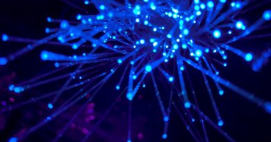 Фото JJ Ying on Unsplash